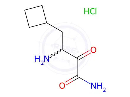 Chemical structure of β-Amino-α-oxo-cyclobutanebutanamide Hydrochloride