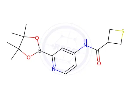 Chemical structure of N-[2-(4,4,5,5-Tetramethyl-1,3,2-dioxaborolan-2-yl)-4-pyridyl]thietane-3-carboxamide