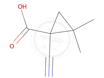 Chemical structure of 1-Cyano-2,2-dimethylcyclopropane-1-carboxylic acid