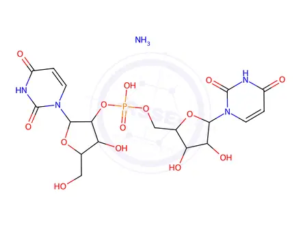 Chemical structure of Uridylyl-2'-5'-uridine ammonium salt