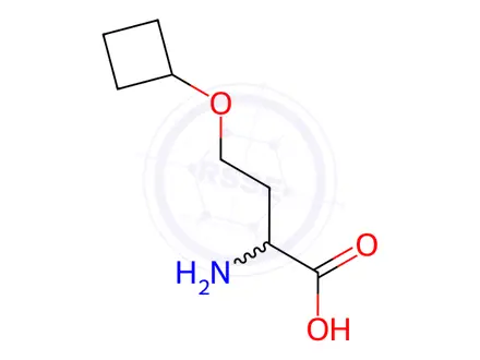 Chemical structure of O-cyclobutyl-L-homoserine