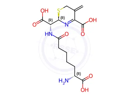 Chemical structure of Cephalosporin