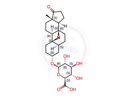 Chemical structure of 19-Norandrosterone 3-Glucuronide