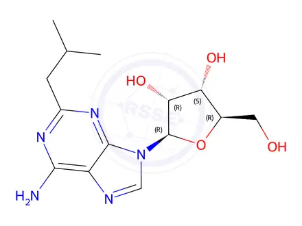 Chemical structure of (2R,3R,4S,5R)-2-(6-Amino-2-isobutyl-9H-purin-9-yl)-5-(hydroxymethyl)tetrahydrofuran-3,4-diol