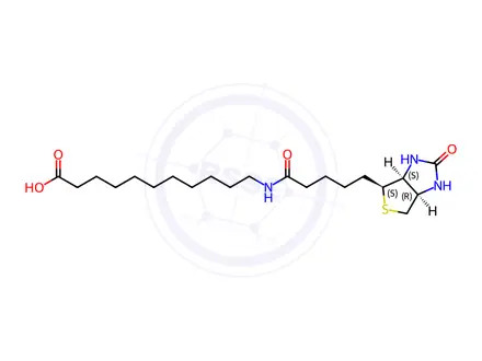 Chemical structure of 11-(5-((3aS,4S,6aR)-2-oxohexahydro-1H-thieno[3,4-d]imidazol-4-yl)pentanamido)undecanoic acid