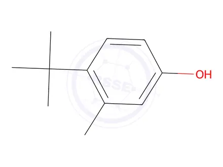 Chemical structure of 4-tert-butyl-3-methylphenol