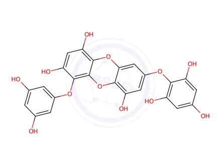 Chemical structure of 7-Phloroeckol