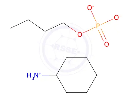 Chemical structure of Monobutyl Phosphate Biscyclohexylamine Salt