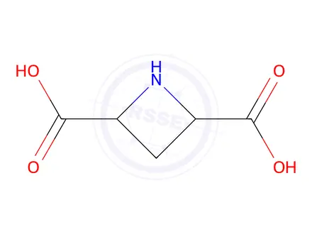 Chemical structure of cis-Azetidine-2,4-dicarboxylic acid
