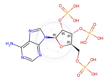 Chemical structure of Adenosine Impurity 146