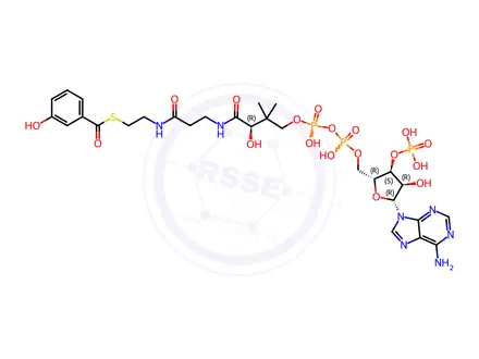 Chemical structure of Coenzyme A, S-(3-hydroxybenzoate)