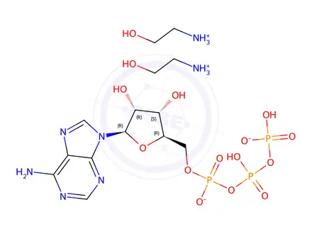 Chemical structure of adenosine 5'-triphosphate di(monoethanolammonium) salt
