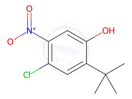 Chemical structure of 2-(tert-Butyl)-4-chloro-5-nitrophenol