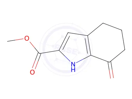 Chemical structure of methyl 7-oxo-1,4,5,6-tetrahydroindole-2-carboxylate