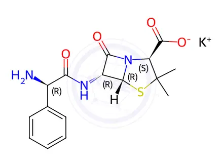 Chemical structure of potassium [2S-[2alpha,5alpha,6beta(S*)]]-6-(aminophenylacetamido)-3,3-dimethyl-7-oxo-4-thia-1-azabicyclo[3.2.0]heptane-2-carboxylate