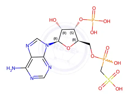 Chemical structure of adenosine 3'-phosphate 5'-methylenephosphosulfate