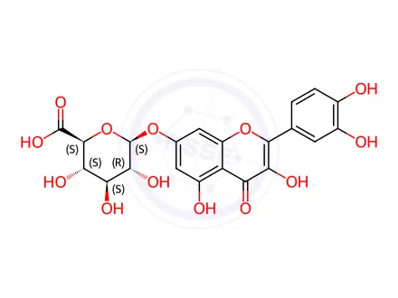 Chemical structure of Quercetin 7-O-glucuronide