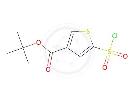 Chemical structure of Tert-butyl 5-(chlorosulfonyl)thiophene-3-carboxylate