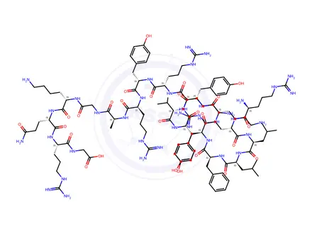Chemical structure of exchanger inhibitory peptide