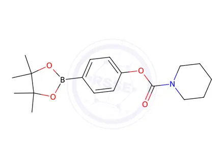 Chemical structure of 4-(4,4,5,5-Tetramethyl-1,3,2-dioxaborolan-2-yl)phenyl piperidine-1-carboxylate