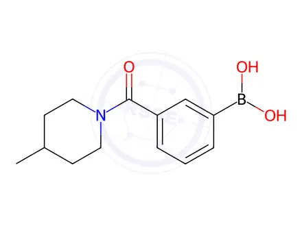 Chemical structure of 3-(4-methylpiperidine-1-carbonyl)phenylboronic acid
