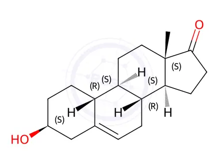 Chemical structure of Estr-5-en-17-one, 3-hydroxy-, (3β)-