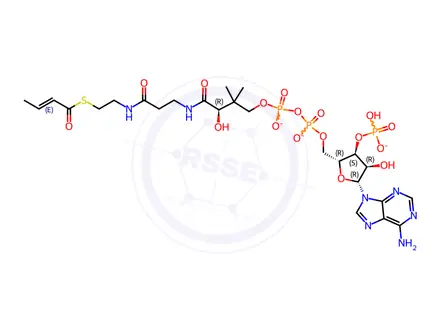 Chemical structure of 04:1 Coenzyme A