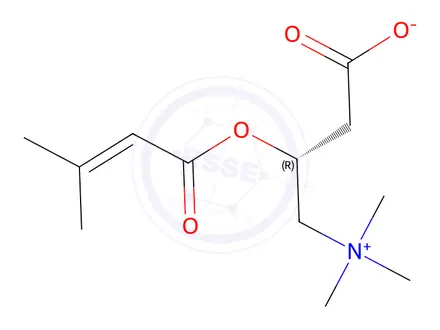 Chemical structure of 3-Methylcrotonyl L-Carnitine