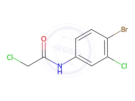 Chemical structure of N-(4-bromo-3-chlorophenyl)-2-chloroacetamide