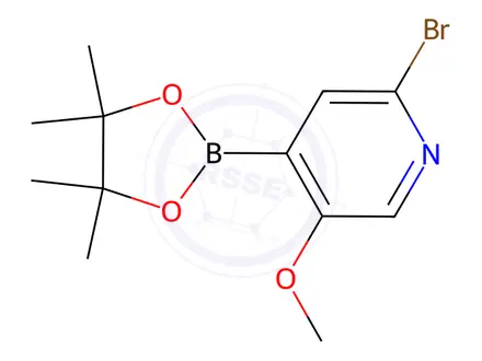 Chemical structure of 2-Bromo-5-methoxy-4-(4,4,5,5-tetramethyl-1,3,2-dioxaborolan-2-yl)pyridine
