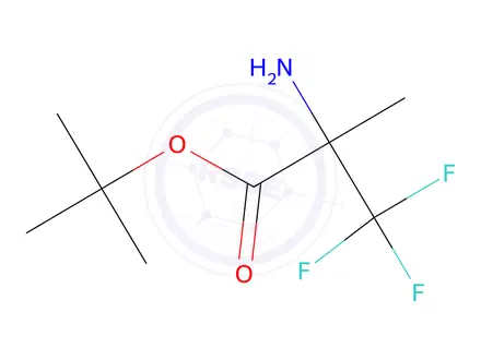 Chemical structure of Tert-butyl 2-amino-3,3,3-trifluoro-2-methylpropanoate