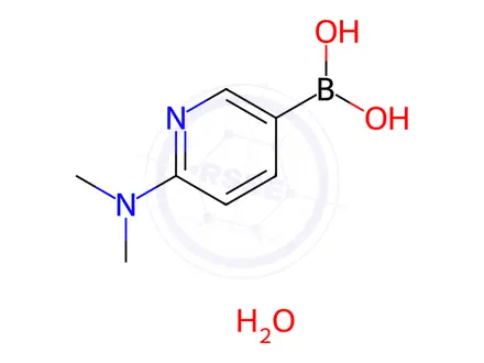 Chemical structure of (6-(Dimethylamino)pyridin-3-yl)boronic acid hydrate