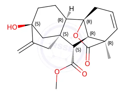 Chemical structure of Gibberellin A5 Methyl Ester