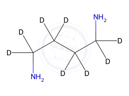 Chemical structure of 1,4-Diaminobutane-d8