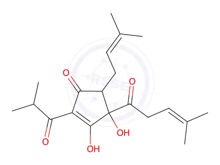 Chemical structure of Isocohumulone