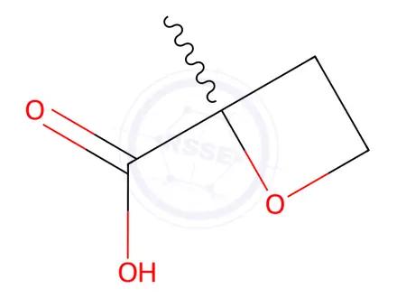 Chemical structure of 2-Methyloxetane-2-Carboxylic Acid