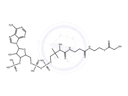 Chemical structure of S-(2-(3-((2R)-4-(((((((2R,3S,4R,5R)-5-(6-Amino-9H-purin-9-yl)-4-hydroxy-3-(phosphonooxy)tetrahydrofuran-2-yl)methoxy)(hydroxy)phosphoryl)oxy)(hydroxy)phosphoryl)oxy)-2-hydroxy-3,3-dimethylbutanamido)propanamido)ethyl) 2-hydroxyethanethioate