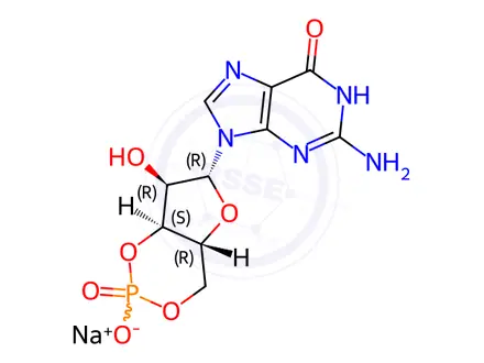 Chemical structure of Guanosine 3',5'-Cyclic Monophosphate (Na Salt)