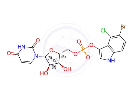 Chemical structure of uridine-3'-(5-bromo-4-chloroindol-3-yl)-phosphate