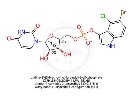 Chemical structure of uridine-3'-(5-bromo-4-chloroindol-3-yl)-phosphate