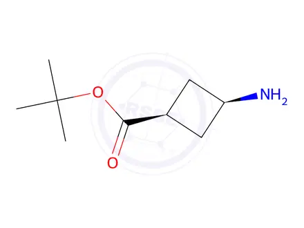 Chemical structure of tert-butyl cis-3-aminocyclobutanecarboxylate