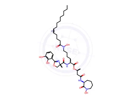 Chemical structure of Lysine, N2-[[2-(2,3-dihydroxyphenyl)-4,5-dihydro-4-methyl-4-oxazolyl]carbonyl]-N6-hydroxy-N6-(1-oxo-5-tetradecen-1-yl)-, 3-[(hexahydro-1-hydroxy-2-oxo-1H-azepin-3-yl)amino]-1-methyl-3-oxopropyl ester