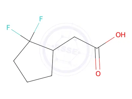 Chemical structure of 2-(2,2-Difluorocyclopentyl)acetic acid