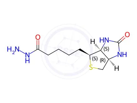 Chemical structure of Biotin Hydrazide