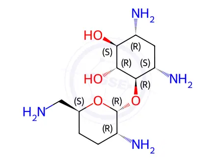 Chemical structure of Dibekacin Impurity 1