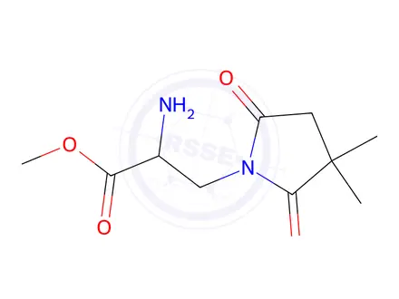 Chemical structure of Methyl 2-amino-3-(3,3-dimethyl-2,5-dioxopyrrolidin-1-yl)propanoate