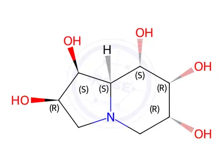 Chemical structure of 6,7-Dihydroxyswainsonine