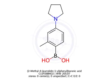 Chemical structure of (2-Methyl-4-(pyrrolidin-1-yl)phenyl)boronic acid