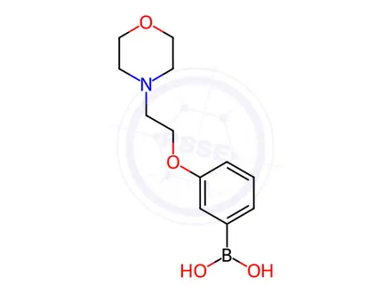 Chemical structure of 3-(2-Morpholinoethoxy)phenylboronic acid