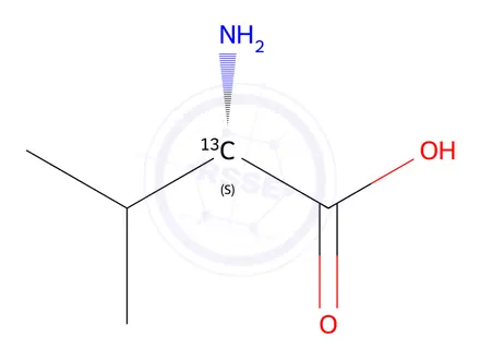 Chemical structure of <SC>L</SC>- -2-<SUP>13</SUP>C